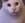 :Huuuuuuh: