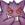 :Gengiggle: