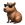 :Coolcapybara: